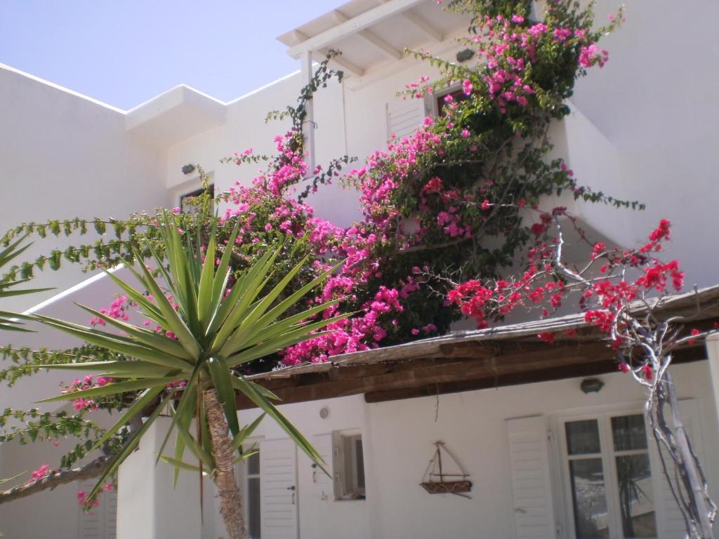 Paros Rita Studios ピソ ・リバディ エクステリア 写真