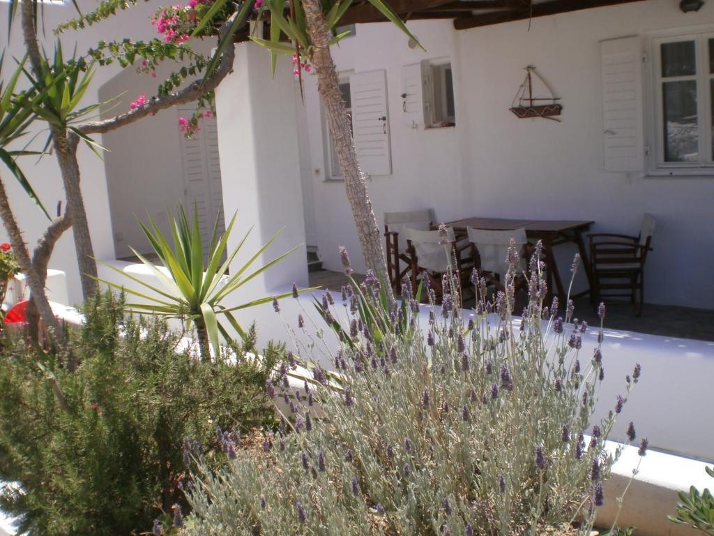 Paros Rita Studios ピソ ・リバディ エクステリア 写真